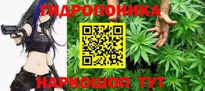 кокс Краснодар